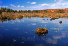 Tobyhanna State Park景点图片