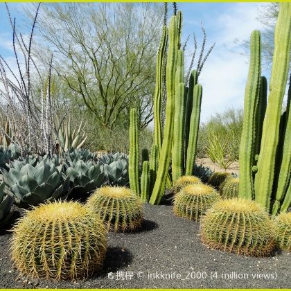 美国13日跟团游