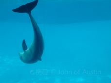 Texas State Aquarium-科珀斯克里斯蒂