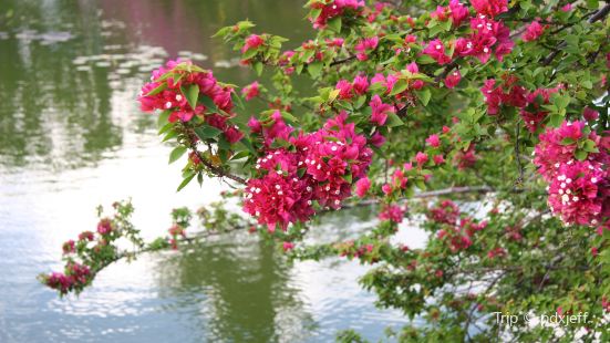 Kahili Quarry Beach Travel Guidebook Must Visit Attractions In