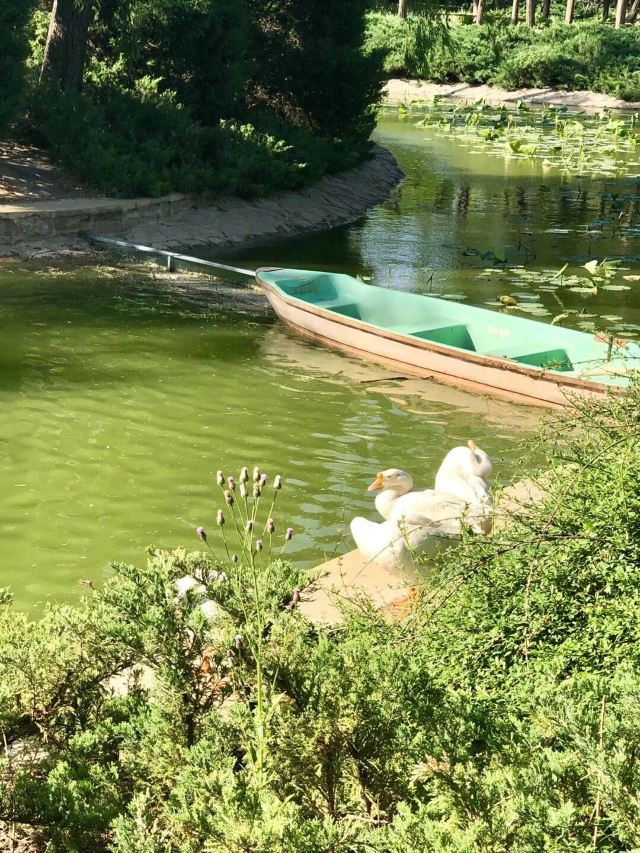 四得公园旅行图片 3