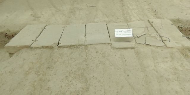 大唐西市旅行图片 2