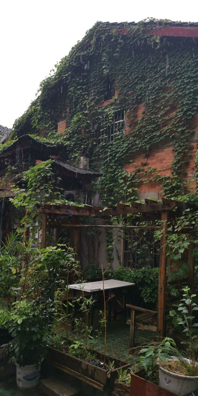 699创意工场-中心花园旅行图片 6