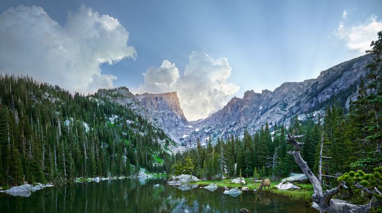 7-Day Denver Tour·Big Blue Bear, Red Rocks Park and Amphitheatre, University of Colorado Boulder, Rocky Mountain National Park, Golden Town, Garden of the Gods