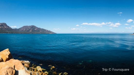 Coles Bay Jetty