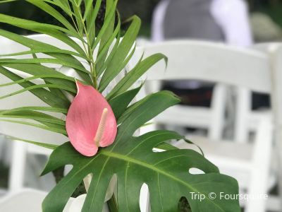 Top 84 Attractions Recommended In Honolulu Architecture Travel