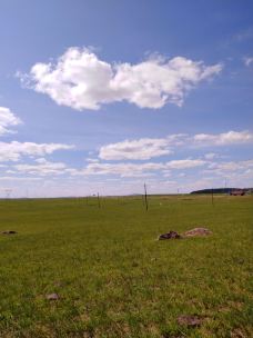 贡格尔草原-克什克腾旗-YoYo_9U3Y6M8H