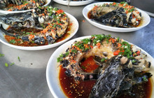 墨江哈尼一家人饭店(双胞大道店)餐厅图片