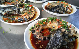 墨江哈尼一家人饭店(双胞大道店)