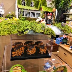 Moff動物咖啡 永旺購物中心幕張新都心店 旅遊攻略指南 Moff動物咖啡 永旺購物中心幕張新都心店 評價 Moff動物咖啡 永旺購物中心幕張 新都心店 附近推薦 Trip Com