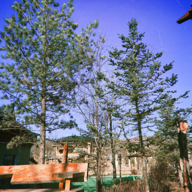 宝宇森林生态小镇旅行图片 6