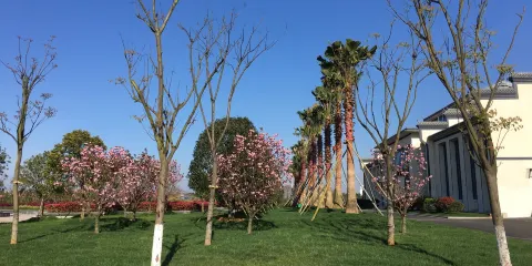 橫峯葯用植物園