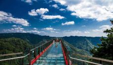 黄水国家森林公园-石柱-YY的橘子