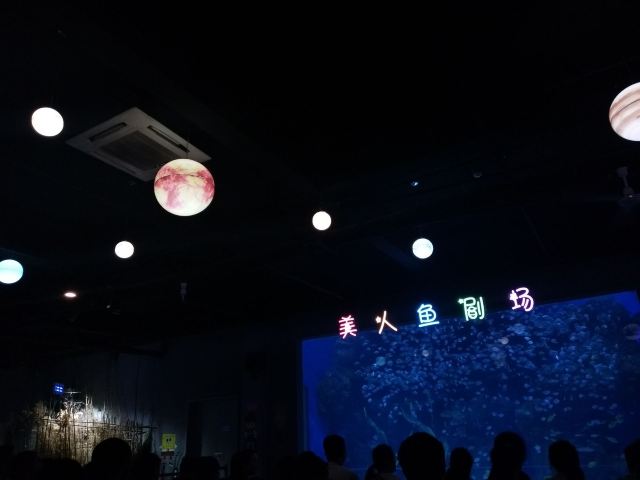 邯郸·海洋世界旅行图片 5