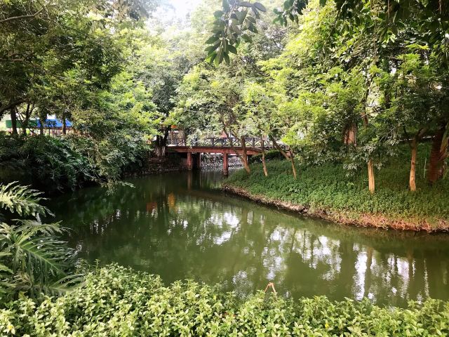 北滘公园旅行图片 11