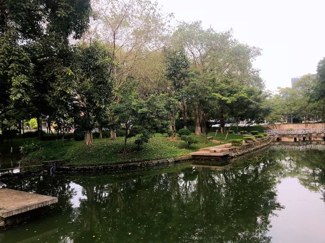 北滘公园旅行图片 13