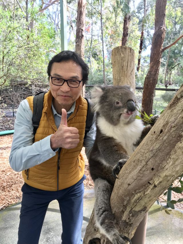 阿德萊德山