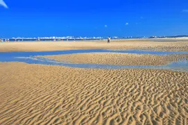 2-Day Jinjiang Tour: Explore the Ancient Charm of Anping Bridge, Natural Beauty of Antenna Beach