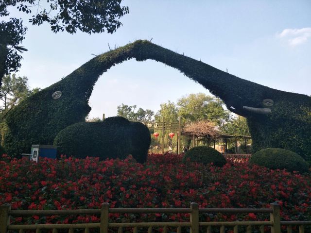 Shanghai Zoo