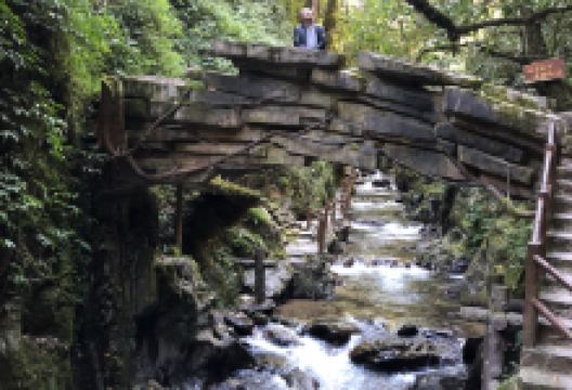 哀牢山森林旅游区景点图片
