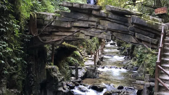 哀牢山森林旅遊區