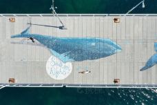 巴瑟尔顿栈桥-巴瑟尔顿