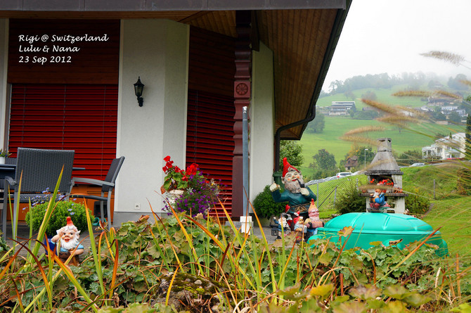 Weggis是我们在瑞士到访的第一个小镇，我们第一次感受到了瑞士人对家的精心布置。各家各户的窗台上都
