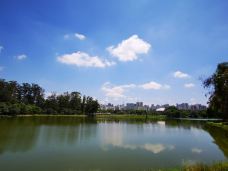 伊比拉普埃拉公园-圣保罗-北京群