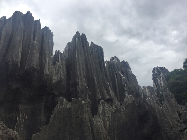 乃古石林风景区旅行图片 4