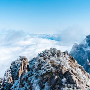 黄山风景区3日2晚跟团游