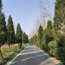 滨湖国家森林公园-合肥-CNG一