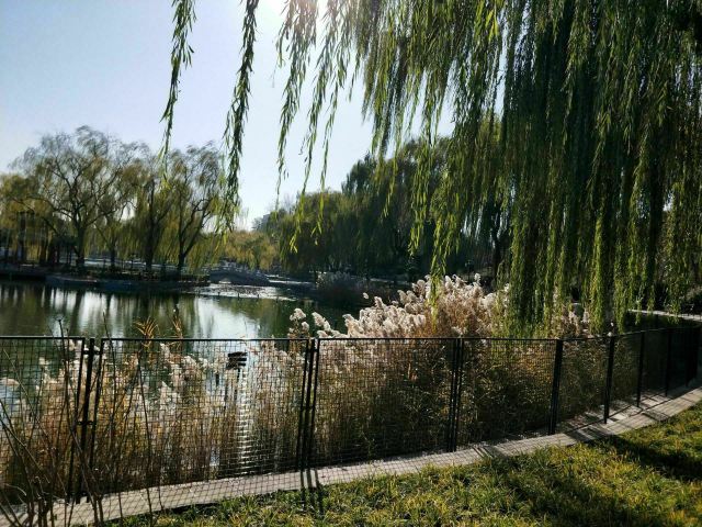 陶然亭旅行图片 1
