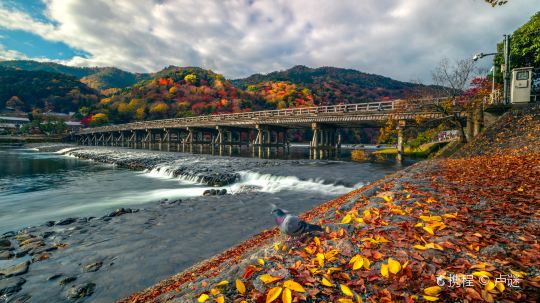 渡月橋