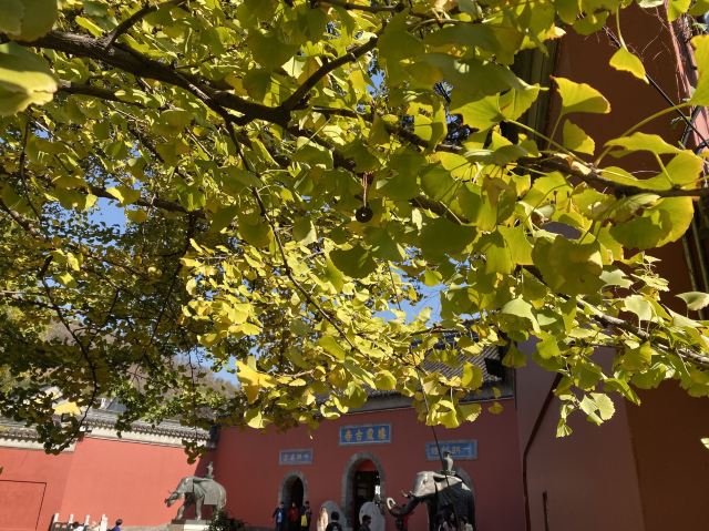 栖霞禅寺牌坊旅行图片 5