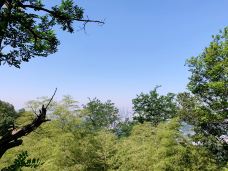 衡山