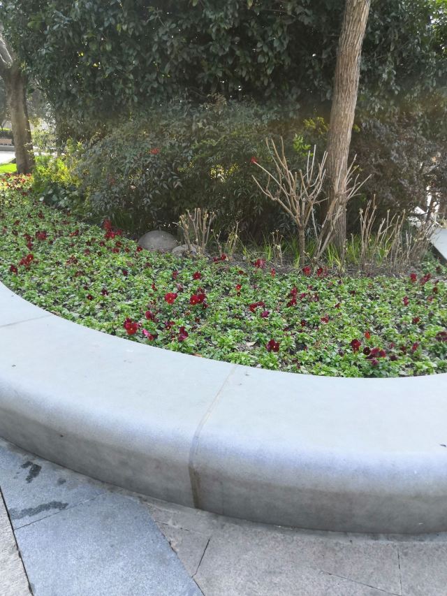 贵阳·黔灵山体育公园旅行图片 3