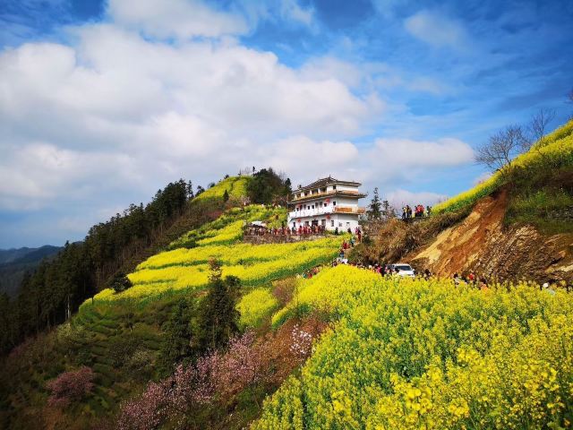 石潭村旅行图片 3