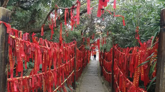 小澳港銅鼓佛光