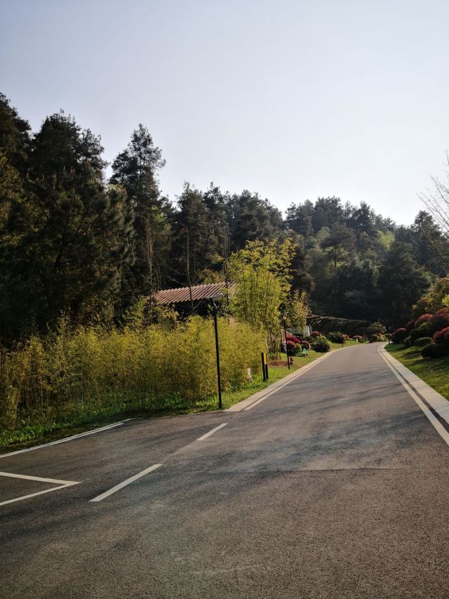 登高云山森林公园旅行图片 2