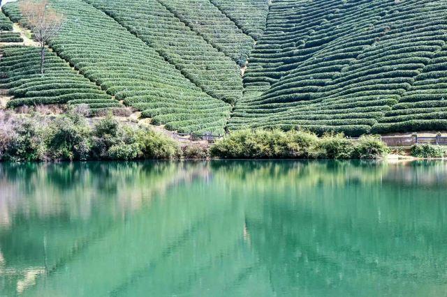 光明寺旅行图片 3