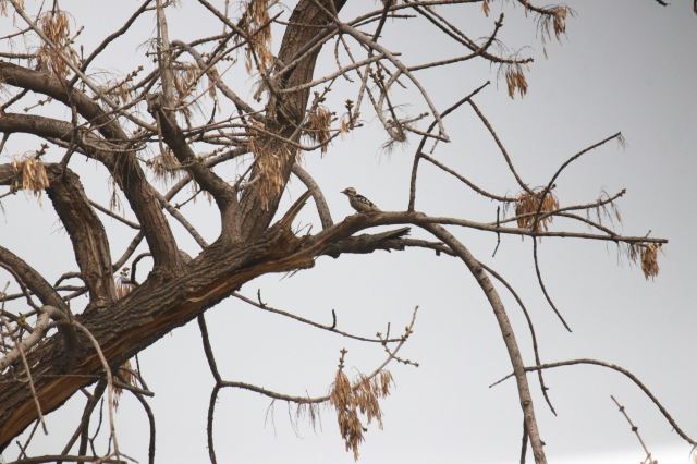 원명원 Attractions - 베이징 Travel Review -2020년 3월 26일Travel Guide - Trip.com