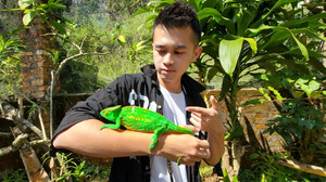 毛里求斯游记图文-在毛里求斯，印度洋的海风用优雅的身姿摩挲着我的耳畔