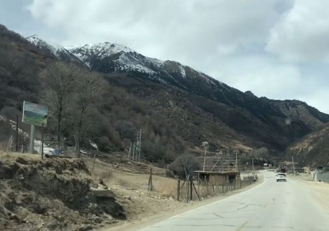 嘎拉桃花源旅行图片 6