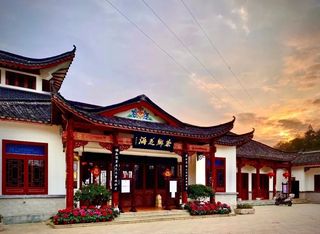 茶陵茶乡花海 | 春暖倒寒，唯有美景方可暖心