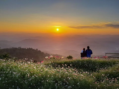 清迈游记图片] 【图集】想念清迈雾气重重的早晨