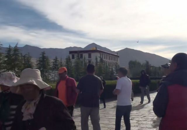 新铜牛广场旅行图片 3