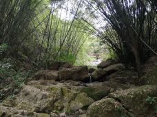 大雁山风景区-鹤山-老挝彭于晏