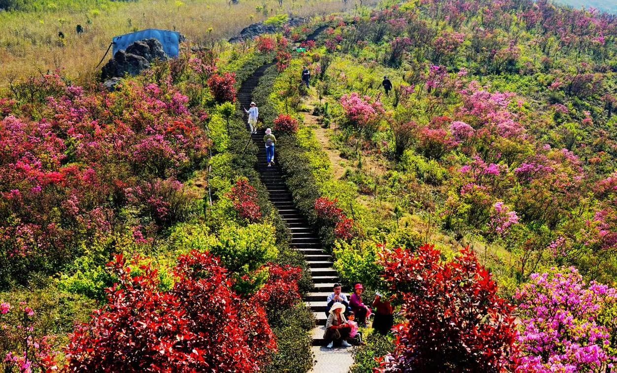金峨禅寺