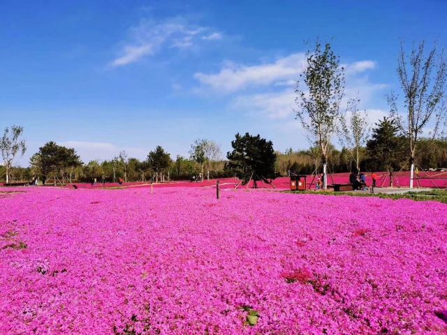 奥北森林公园二期北区旅行图片 2