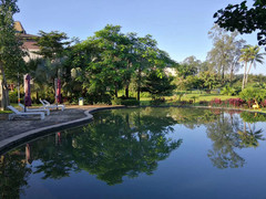 定安游记图片] 丽湖半岛 | 夏